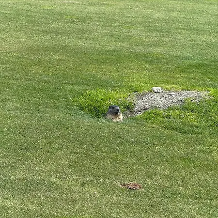 דירה Maison Carrel Elegant 7 *