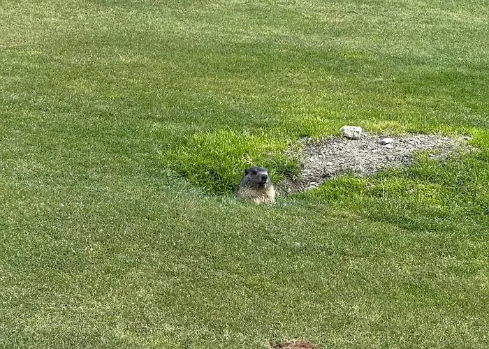 דירה Maison Carrel Elegant 7 *